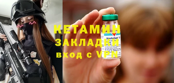 шишки Белоозёрский