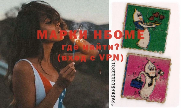 шишки Белоозёрский