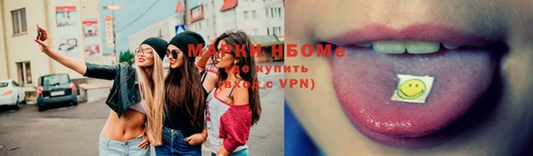 шишки Белоозёрский