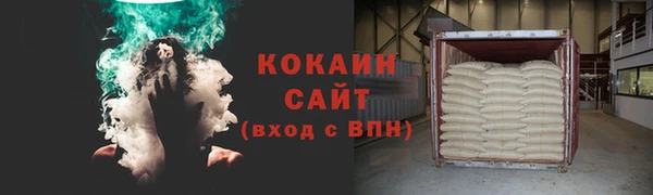 шишки Белоозёрский