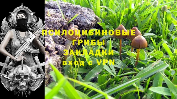 шишки Белоозёрский